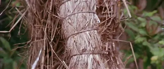 Cuộc gặp gỡ ma quái 1980 Vietsub HD - PhimMoiHot Cuộc gặp gỡ ma quái 1980 Vietsub HD - PhimMoiHot