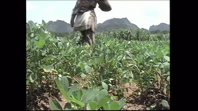Hình ảnh Cửu Vương Đoạt Ngôi tập 1 trên PhimMoiHot Hình ảnh Cửu Vương Đoạt Ngôi tập 1 trên PhimMoiHot