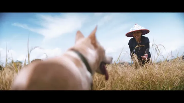 Xem phim Sinakagon Vietsub HD tại PhimMoiHot Xem phim Sinakagon Vietsub HD tại PhimMoiHot