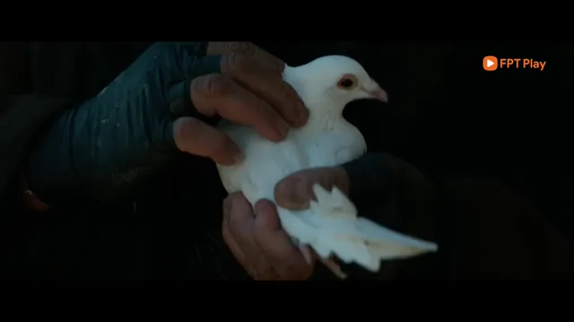 Sát Thủ John Wick 2 tập 1 Vietsub HD - PhimMoiHot Sát Thủ John Wick 2 tập 1 Vietsub HD - PhimMoiHot