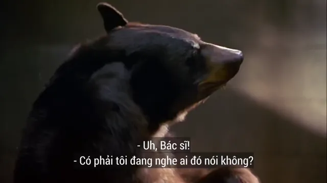Hình ảnh phim Bác Sĩ Thú Y 2 trên PhimMoiHot Hình ảnh phim Bác Sĩ Thú Y 2 trên PhimMoiHot