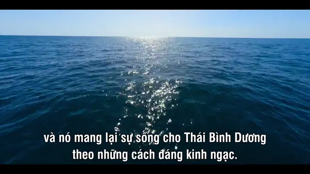 Xem phim Đại dương của chúng ta Vietsub HD tại PhimMoiHot Xem phim Đại dương của chúng ta Vietsub HD tại PhimMoiHot