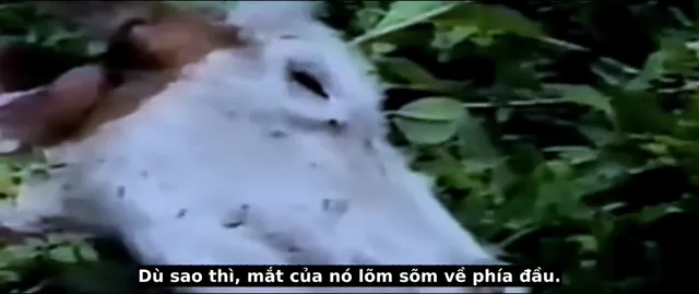 Xem Cái Giá Của Sự Thật tập 1 Vietsub tại PhimMoiHot Xem Cái Giá Của Sự Thật tập 1 Vietsub tại PhimMoiHot