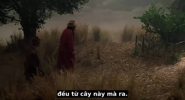 Hình ảnh phim Dạo bước trên mây trên PhimMoiHot