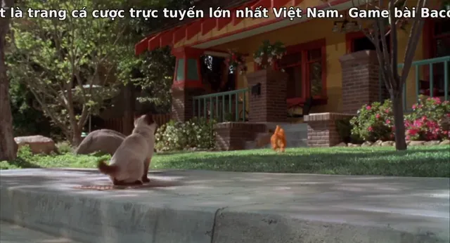 Xem phim Garfield Vietsub HD tại PhimMoiHot Xem phim Garfield Vietsub HD tại PhimMoiHot