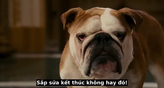 Hình ảnh phim Hai Chú Mèo Siêu Quậy trên PhimMoiHot