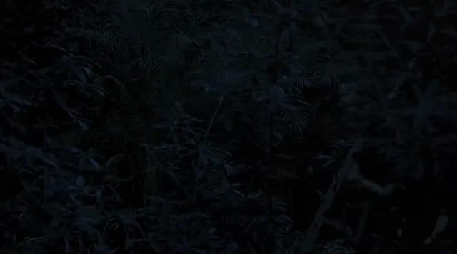Hình ảnh The Legend of La Llorona tập 1 trên PhimMoiHot Hình ảnh The Legend of La Llorona tập 1 trên PhimMoiHot