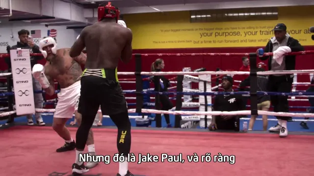 Đếm ngược: Paul vs. Tyson 2024 Vietsub HD - PhimMoiHot Đếm ngược: Paul vs. Tyson 2024 Vietsub HD - PhimMoiHot