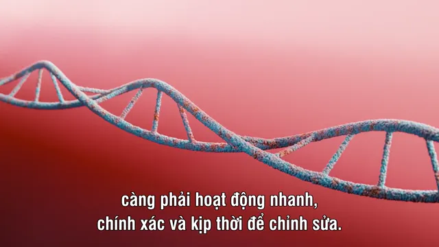 Xem Thải độc nhựa tập 1 Vietsub tại PhimMoiHot Xem Thải độc nhựa tập 1 Vietsub tại PhimMoiHot