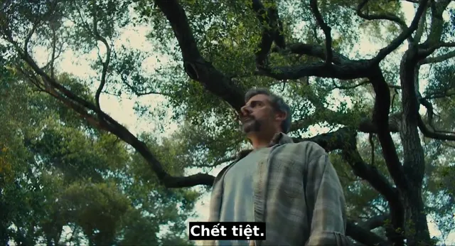Beautiful Boy 2018 Vietsub HD - PhimMoiHot Beautiful Boy 2018 Vietsub HD - PhimMoiHot
