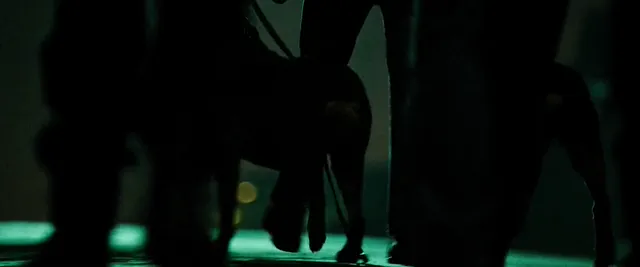 Xem phim The Purge: Anarchy Vietsub HD tại PhimMoiHot Xem phim The Purge: Anarchy Vietsub HD tại PhimMoiHot