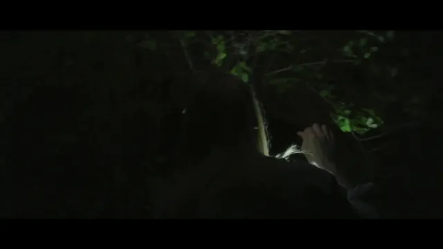 Xem phim Vampyres Vietsub HD tại PhimMoiHot Xem phim Vampyres Vietsub HD tại PhimMoiHot