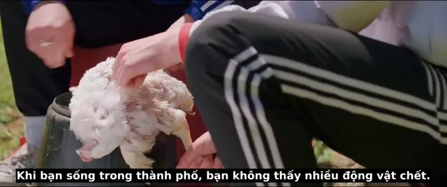 Hình ảnh phim The Young Offenders trên PhimMoiHot Hình ảnh phim The Young Offenders trên PhimMoiHot