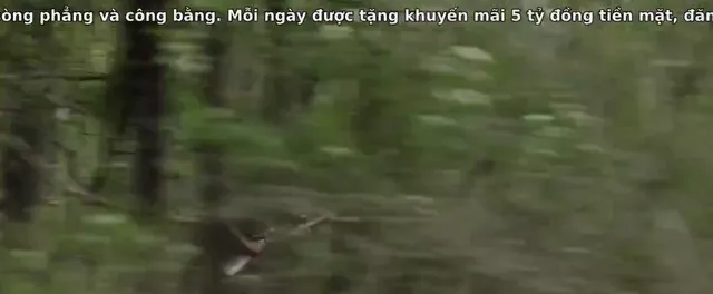 Killing Ground 2016 Vietsub HD - PhimMoiHot Killing Ground 2016 Vietsub HD - PhimMoiHot