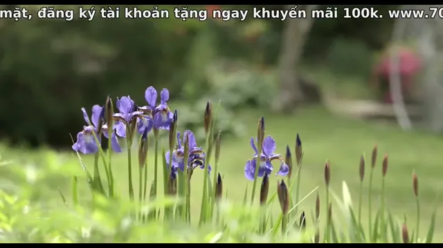 Xem Door to the Night tập 1 Vietsub tại PhimMoiHot Xem Door to the Night tập 1 Vietsub tại PhimMoiHot