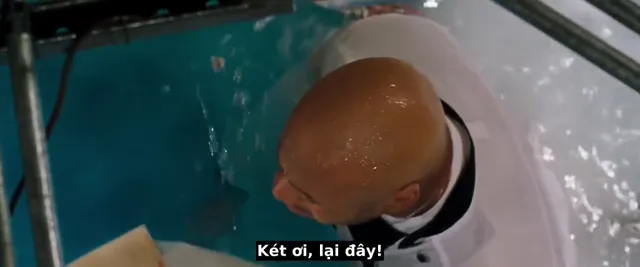 Hình ảnh phim Biển Xanh Sâu Thẳm trên PhimMoiHot Hình ảnh phim Biển Xanh Sâu Thẳm trên PhimMoiHot