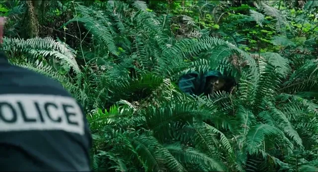 Xem phim Leave No Trace Vietsub HD tại PhimMoiHot Xem phim Leave No Trace Vietsub HD tại PhimMoiHot