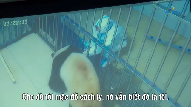 Fu Bao: Bảo Bối Của Ông 2024 Vietsub HD - PhimMoiHot Fu Bao: Bảo Bối Của Ông 2024 Vietsub HD - PhimMoiHot