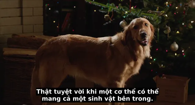 Xem phim Cuộc Đời Phi Thường Của Chú Chó Enzo Vietsub HD tại PhimMoiHot Xem phim Cuộc Đời Phi Thường Của Chú Chó Enzo Vietsub HD tại PhimMoiHot