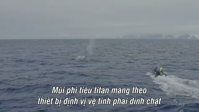 Những Cuộc Phiêu Lưu Hùng Tráng Cùng Bertie Gregory 2022 Vietsub HD - PhimMoiHot Những Cuộc Phiêu Lưu Hùng Tráng Cùng Bertie Gregory 2022 Vietsub HD - PhimMoiHot