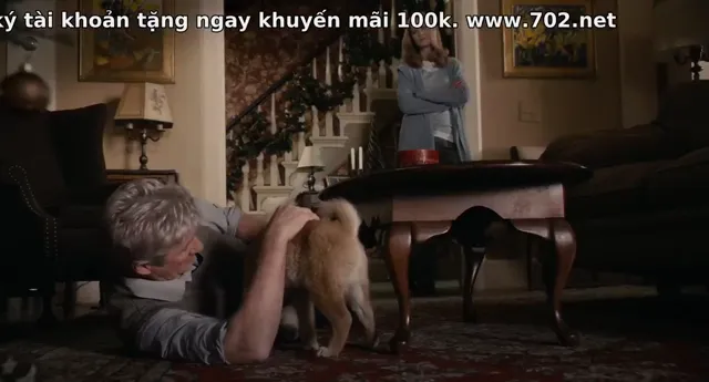 Xem Hachi: A Dog’s Tale tập 1 Vietsub tại PhimMoiHot Xem Hachi: A Dog’s Tale tập 1 Vietsub tại PhimMoiHot