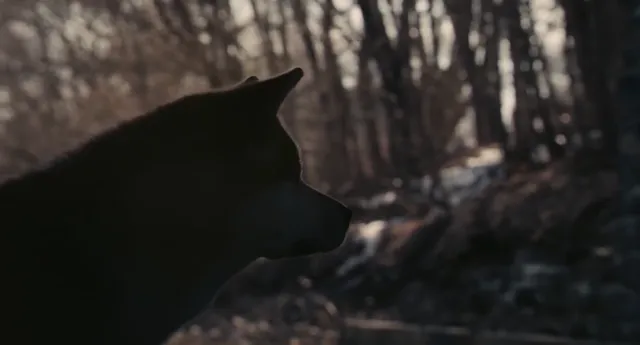 Hachi: A Dog’s Tale tập 1 Vietsub HD - PhimMoiHot Hachi: A Dog’s Tale tập 1 Vietsub HD - PhimMoiHot