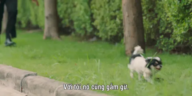 Xem phim Bướng Bỉnh Anh Lại Nghĩ Em Quậy Vietsub HD tại PhimMoiHot Xem phim Bướng Bỉnh Anh Lại Nghĩ Em Quậy Vietsub HD tại PhimMoiHot