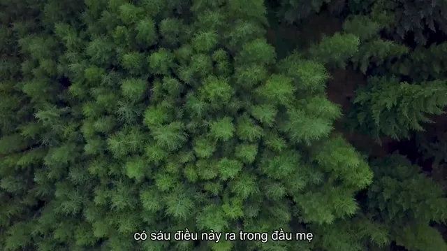 Xem phim Evelyn Vietsub HD tại PhimMoiHot Xem phim Evelyn Vietsub HD tại PhimMoiHot