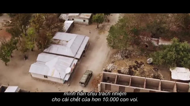 Xem Cuộc chiến ngà voi tập 1 Vietsub tại PhimMoiHot Xem Cuộc chiến ngà voi tập 1 Vietsub tại PhimMoiHot