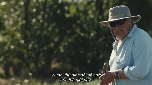 Cuộc đời Pepe Mujica 2018 Vietsub HD - PhimMoiHot Cuộc đời Pepe Mujica 2018 Vietsub HD - PhimMoiHot