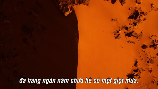 Xem phim Chuyện chưa kể về khủng long Vietsub HD tại PhimMoiHot Xem phim Chuyện chưa kể về khủng long Vietsub HD tại PhimMoiHot