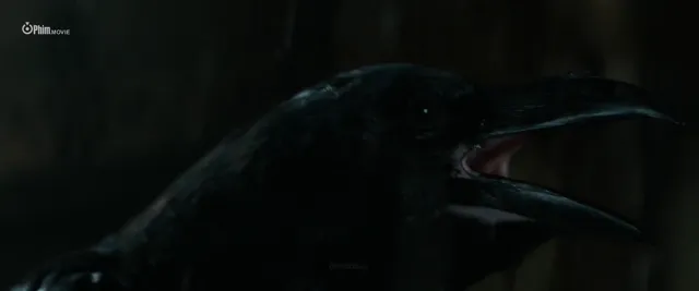 The Crow Báo Thù tập 1 Vietsub HD - PhimMoiHot The Crow Báo Thù tập 1 Vietsub HD - PhimMoiHot