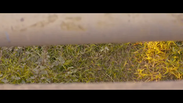 Xem phim Walid Vietsub HD tại PhimMoiHot Xem phim Walid Vietsub HD tại PhimMoiHot