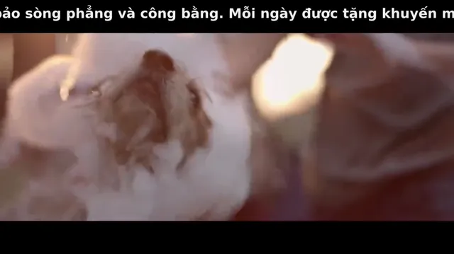Xem Benji tập 1 Vietsub tại PhimMoiHot Xem Benji tập 1 Vietsub tại PhimMoiHot