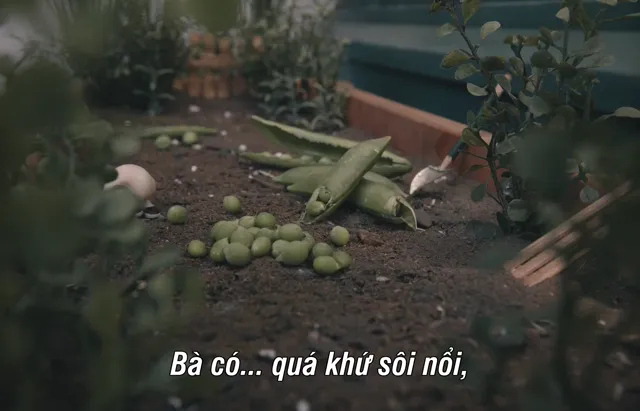 Chú Chó Đeo Giày Marcel tập 1 Vietsub HD - PhimMoiHot Chú Chó Đeo Giày Marcel tập 1 Vietsub HD - PhimMoiHot