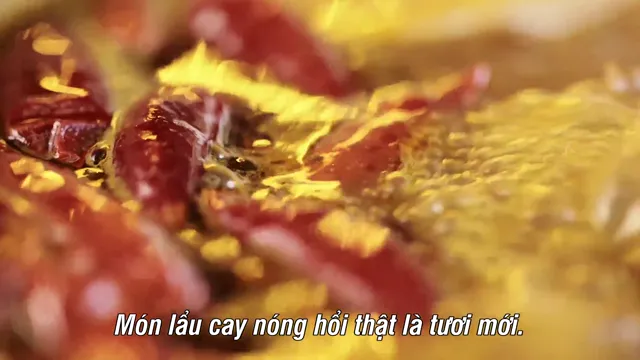 Xem phim Ẩm Thực Lẩu Trung Hoa Vietsub HD tại PhimMoiHot Xem phim Ẩm Thực Lẩu Trung Hoa Vietsub HD tại PhimMoiHot