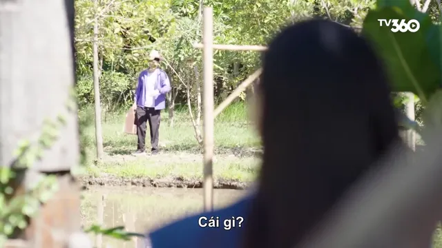 Xem phim Cú Đập Định Mệnh Vietsub HD tại PhimMoiHot Xem phim Cú Đập Định Mệnh Vietsub HD tại PhimMoiHot