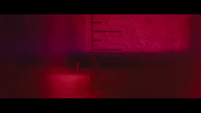 Alice Trăng Rằm 2020 Vietsub HD - PhimMoiHot Alice Trăng Rằm 2020 Vietsub HD - PhimMoiHot