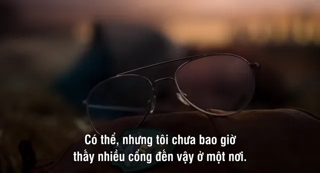 Băng Trộm Xuyên Thời Gian tập 2 Vietsub HD - PhimMoiHot Băng Trộm Xuyên Thời Gian tập 2 Vietsub HD - PhimMoiHot