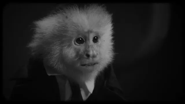 JACK ĐÃ LÀM GÌ? 2020 Vietsub HD - PhimMoiHot JACK ĐÃ LÀM GÌ? 2020 Vietsub HD - PhimMoiHot