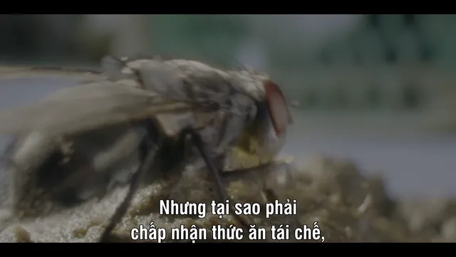 Hình ảnh A Real Bug’s Life tập 1 trên PhimMoiHot Hình ảnh A Real Bug’s Life tập 1 trên PhimMoiHot