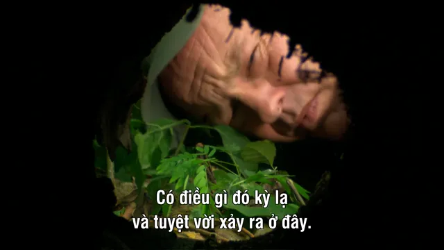 Hình ảnh phim Thế Giới Côn Trùng Khổng Lồ và Nguy Hiểm trên PhimMoiHot