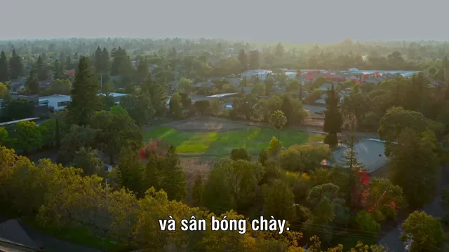 Bạn Là Ai, Charlie Brown? tập 1 Vietsub HD - PhimMoiHot Bạn Là Ai, Charlie Brown? tập 1 Vietsub HD - PhimMoiHot