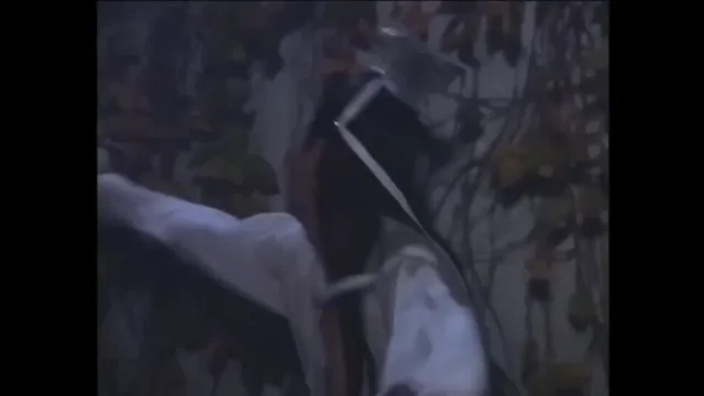 Bảo Tiêu (Phần 3) – Kiều Nữ Tuyệt Trần 2004 Vietsub HD - PhimMoiHot Bảo Tiêu (Phần 3) – Kiều Nữ Tuyệt Trần 2004 Vietsub HD - PhimMoiHot