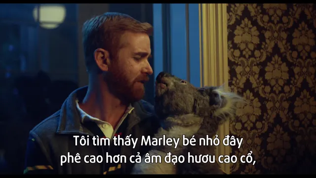 Tiệc Tại Gia 2023 Vietsub HD - PhimMoiHot Tiệc Tại Gia 2023 Vietsub HD - PhimMoiHot