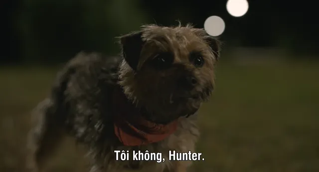 Những Chú Chó Bụi Đời tập 1 Vietsub HD - PhimMoiHot Những Chú Chó Bụi Đời tập 1 Vietsub HD - PhimMoiHot