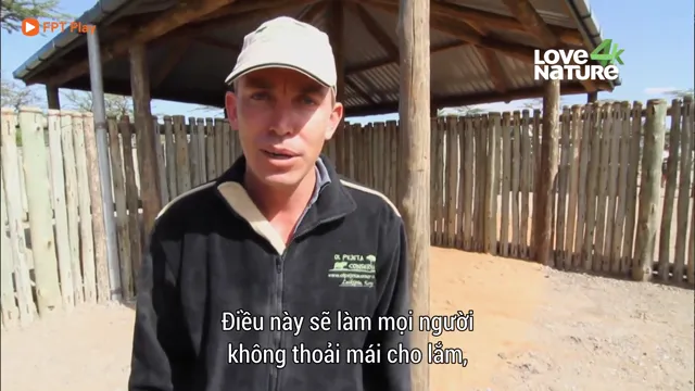 Hình ảnh Khu Bảo Tồn Ol Pejeta Châu Phi (Phần 2) tập 5 trên PhimMoiHot