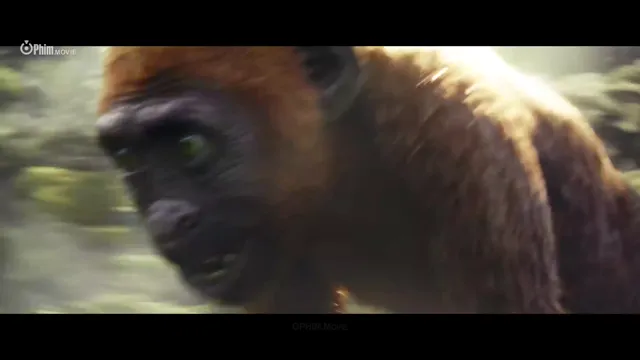 Hình ảnh Godzilla x Kong: Đế Chế Mới tập 1 trên PhimMoiHot Hình ảnh Godzilla x Kong: Đế Chế Mới tập 1 trên PhimMoiHot