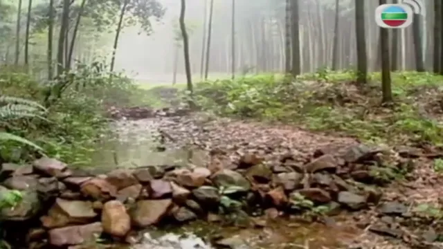 Tế Công Truyền Kỳ 2003 2003 Vietsub HD - PhimMoiHot Tế Công Truyền Kỳ 2003 2003 Vietsub HD - PhimMoiHot