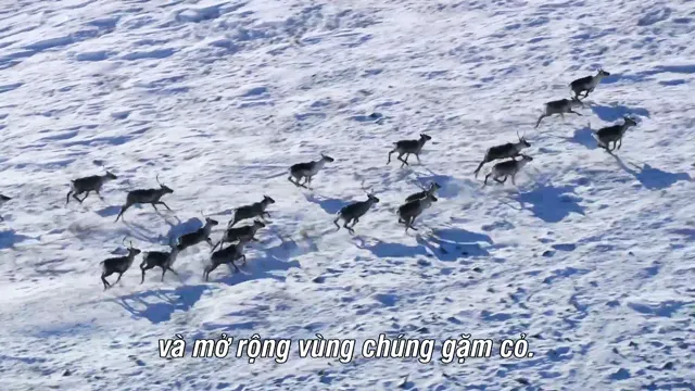 Xem phim Thế giới sống của chúng ta Vietsub HD tại PhimMoiHot Xem phim Thế giới sống của chúng ta Vietsub HD tại PhimMoiHot